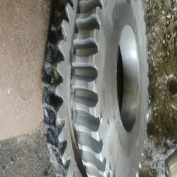 Worm Wheel Gear, Size Upto U 1700
