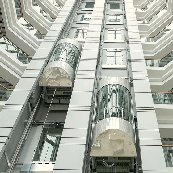 Outdoor Capsule Lift, Micro-processor control system