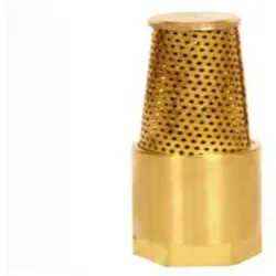 Nipple Spring Foot Valve, Color Golden