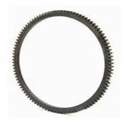 And Cast Aryan Ring Gear, Material MS