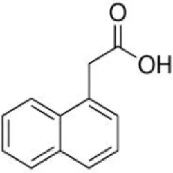 Solvent White Spirit Chemical Naphtha In Varanasi, India, Grade Standard Industrial Grade