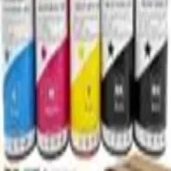 Compatible Chip, Model EPSON 6070 Printer