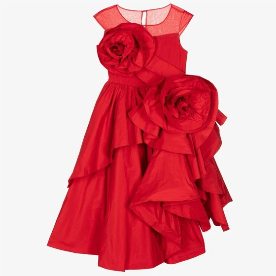 party-wear-gown.webp