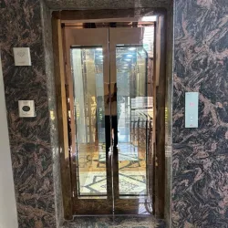 Showroom Passenger Elevator, Cabin Finish Stainless Steel