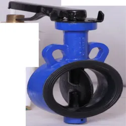Make Ci Butterfly Valve, Application Water Treatment