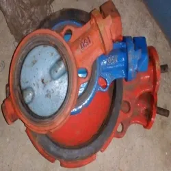 Double Offset Disc Butterfly Valve Wafer, Material Cast Iron
