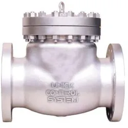 Swing Check Valve, Media Water