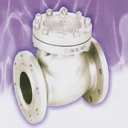 Material Ductile iron Swing Check Valve, Packaging Type Wooden case, Media Water