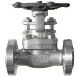 Flanged End Cs Gate Valve, Material Stainless Steel