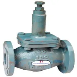 BG-06-P-30 Pressure Relief Valve, End Connection Screwed