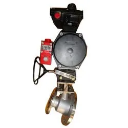 SS 304, SS 316 Flush Bottom Ball Valves, Lining Thickness 3 to 5 mm