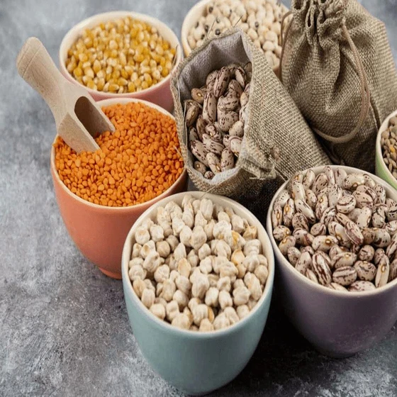 pulses-1.webp