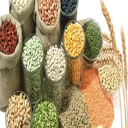 Nutritional Different Pulses Type Packet Online Supplier