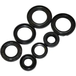 Oil Seal Kit, Pressure 200