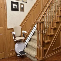 Apple 0-100 kg Automatic Stair Lift, Max Persons 1 Person, Maximum Speed 015 Mtr, Door Style Automatic