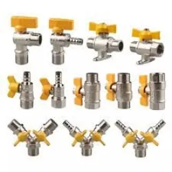 Hydro Carbon Valves, Place Of Origin Delhi