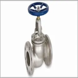 Cs Globe Valve, Media Water
