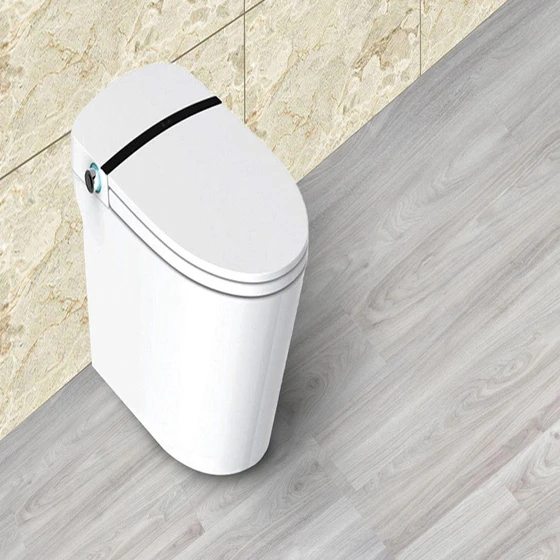 toilet-water-closet-2.webp