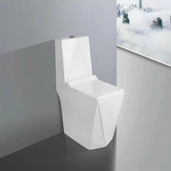 Polished Toilet Seat — Type Elongated Floor Mounted