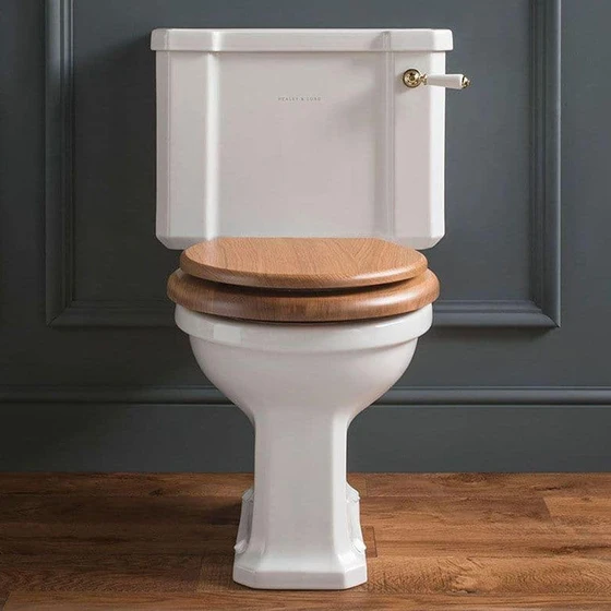 polished-toilet-seat-2.webp