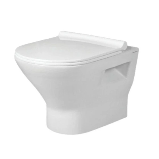 polished-western-toilet-2.webp