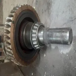Worm Gear, Vehicle Type any