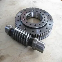 For Worm Gears, Shape Spur