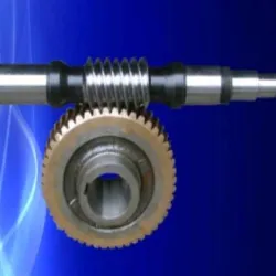 Worm Gear, Material Stainless Steel