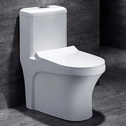 Ceramic Water Closet