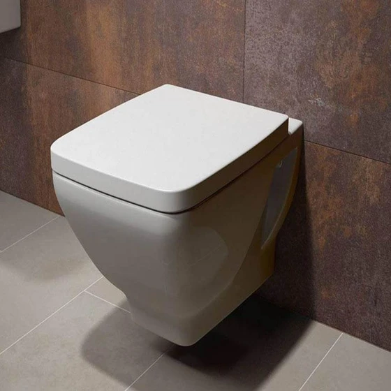 mounted-toilet-seat-2.webp