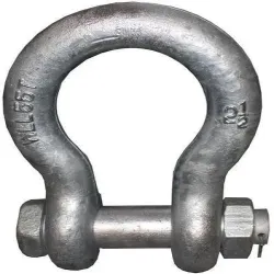 Dee Shackle, Color Silver