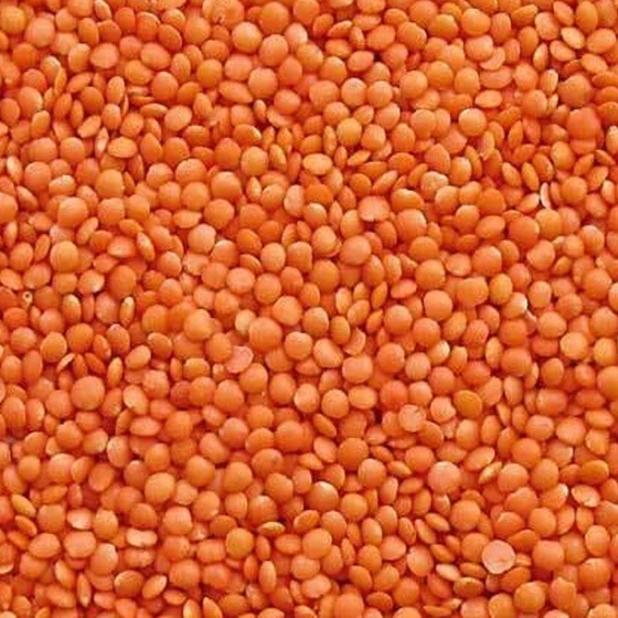 masoor-dal-vitamin.webp