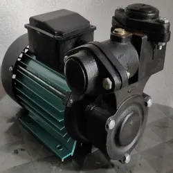 Domestic Monoblock Pump, Sand Content Maximum 50 PPM
