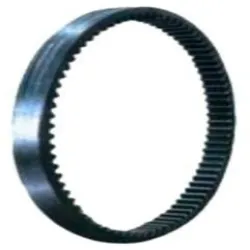 Internal Gears, Grade 304