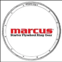 Ring Gears, Material Stainless Steel