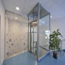 Home Elevator, Maximum Rise 5-10m