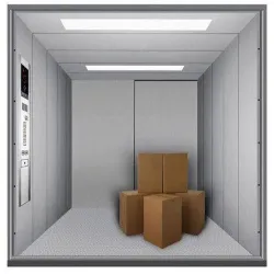 Goods Elevator, Surface Finish Powder Coated