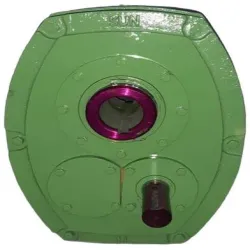 Rarv Type Output Shaft With Bearing Support For Agitator Application, Type A-Z