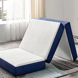 Foam Bed Mattress