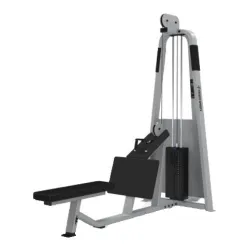 Low Row Machine, Brand Crest Fitness
