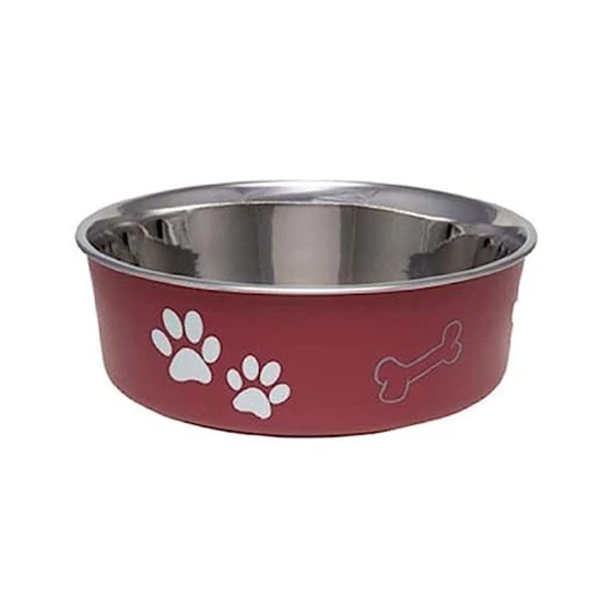 dog-food-bowl.webp