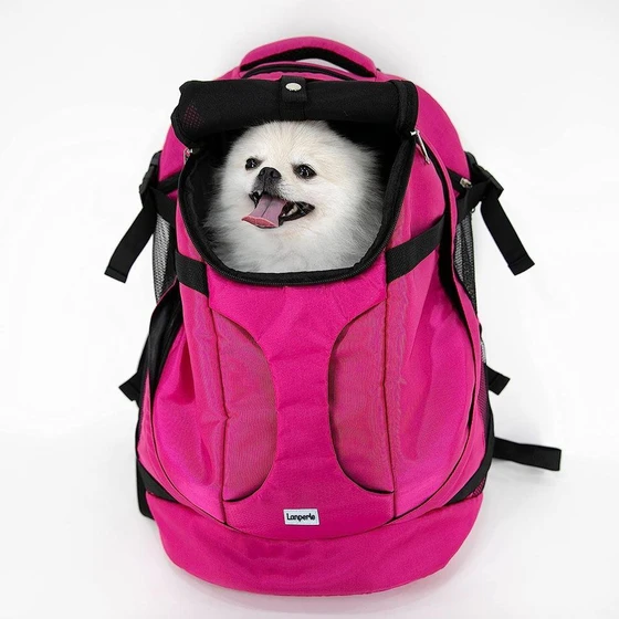 pet-carry-bag.webp