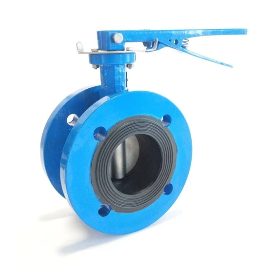 cast-iron-butterfly-valve-2.webp