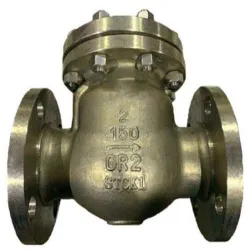 Swing Flange End Check Valve, Size 15 mm - 200 mm