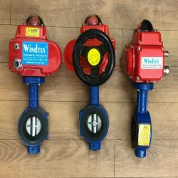 Piston T Pneumatic ype Actuator Butterfly Valve, Material Cast Steel