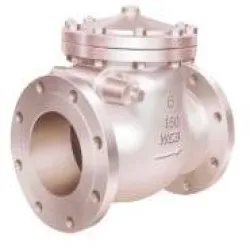 Swing Type Check Valve, Pressure High Pressure