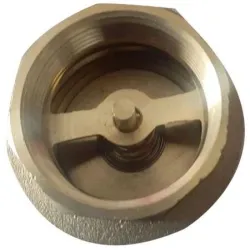 NRV Valves, Material Stainless Steel