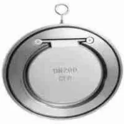 Wafer Check Valve, Media Water