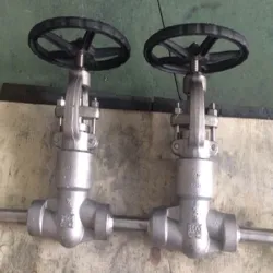 Pressure Seal Gate Valve, Pressure 60 Bar