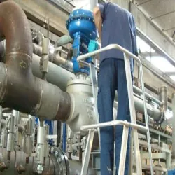 Valve Repair Services, Service Mode Offline